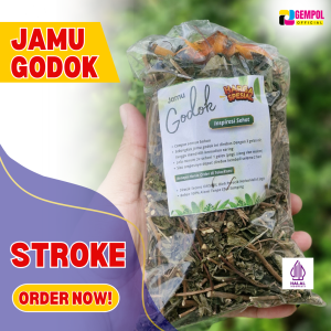 Paket Herbal Stroke Multi-Pak Jamu Godok Organik - Obat Tradisional untuk Kesehatan Jantung & Saraf