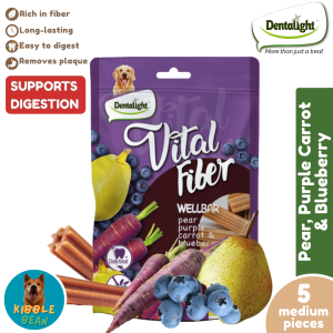 Dentalight Vital Fiber Grain Free Wellbar Stick - Fruit &Veggie (80g)