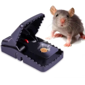 Mouse trap with bait plate and red trigger mechanism. Gray mouse nearby.