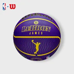 Wilson NBA Player Icon Outdoor Basketball LeBron NE (Size 7