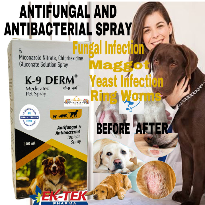 EkTek Pharma K9 Derm Miconazole Antifungal Antibacterial Fungal Spray ...