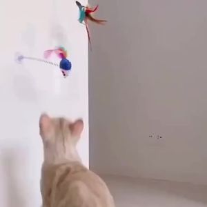 New Land Cat Teaser Toy Cat Puppy spring Teaser Bell Feather Stick Rod Funny Interactive Toy