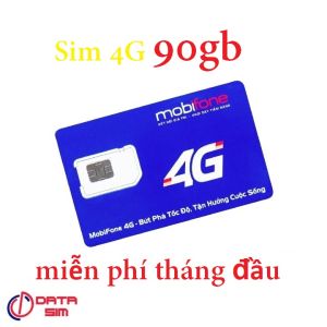 FREESHIP - CHƯA KÍCH HOẠT  Sim 4G mobi local 90GB  miễn phí tháng đầu