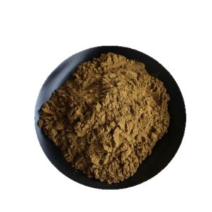 Winter Melon Extract edible herbal raw material water-soluble wax gourd powder food grade multiple specifications available ready stock free shipping samples available 1kg package