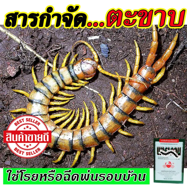 สารกำจัดตะขาบ 500 กรัม สำหรับตะขาบ กิ้งกือ ปูนา มด