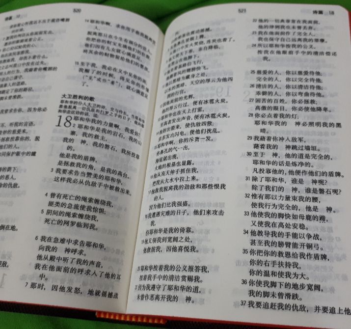 【BIBLE】64K/32K/25K豪华版和合本圣经(中文和合本 新约旧约全书 神版 简体中文)PREMIUM CHINESE BIBLE ...