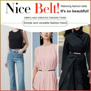 Thin Belt Adjust the Length Waist Chain Higher Fashion Highlights Trimming the Waistline