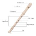 Eight hole clarinet German treble flute plastic flute students practicing flute instruments. 
