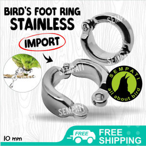 SEMPATI Ring Borgol Ring Kaki Burung 10 Mm 10mm Gelang Cincin Stainless Steel Import Training Latih Kakatua Medium Beo Bayan Grey Parrot Kecil RCS10MM