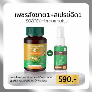 แก้ริดสีดวง  เพชรสังฆาต + สเปรย์ฉีดริดสีดวงยุบ SN9