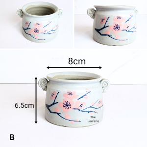 The Leaferie Petit Allegra (Series 6) small mini plant pots. flowerpot . flower pot . planter