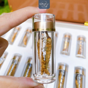 [Món Quà Sức Khỏe] Trùng Hạ Thảo Nguyên Con (3 Con1g) - Sâm Đế Vương - Cao Cấp Thượng Hạng