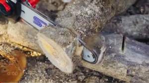 S-POWER เลื่อยโซ่ยนต์แบตเตอรี่ 18V บาร์ 10” นิ้ว รุ่น SP-B501 เลื่อยโซ่แบตเตอรี่ (รุ่นงานหนัก) มอเตอร์ไร้แปรงถ่าน BRUSHLESS แท้100%