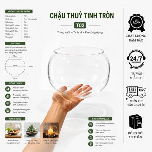 Chậu Thủy Tinh Tròn Bầu T02 24x16cm Trang Trí Thủy Sinh Cắm Hoa Nuôi Cá Cảnh