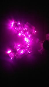 [HCM]Đèn Led Dây Chớp Nháy Chọn Màu 4m