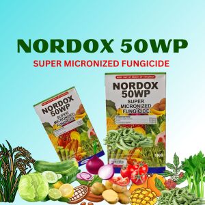 NORDOX 50WP - SUPER MICRONIZED FUNGICIDE