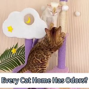 Pet Deodorizing Canister Deodorant Spray Cat Litter Deodorizer Pet Deodorant Spray Pewangi Dog and Cat 貓砂除臭
