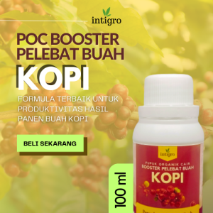 Pupuk Kopi Agar Berbuah Lebat / Pupuk Semprot Pelebat Buah Kopi Cair Organik / Pupuk Booster Kopi