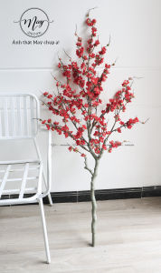 [Ảnh thật] Cây đào cổ kèm chậu lớn cao 1m3 chậu nhỏ cao 35cm