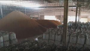 ข้าว หอมมะลิ แท้ ทุ่งกุลาร้องไห้ ตราเอิร์ธไรซ์ (EARTH RICE) ขนาด 5 กิโลกรัม ข้าวสาร คุณภาพ คัดพิเศษ เกรดส่งออก