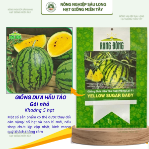 Hạt giống Dưa Hấu Táo Ruột Vàng Baby (5 hạt) chuẩn giống dưa hấu táo trồng quanh năm chịu nhiệt