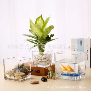 LZD  Hydroponic Plant Glass Bottle Square Glass Vase Transparent Scindapsus Aureus Water Lily Hydrocotyle Hydroponic Flower Pot Vessel Container