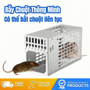 ✅【bán sỉ】 2 CỬA Bẫy chuột thông minhBẫy Chuột Bắt Chuột - Dễ sử dụng - Hiệu quả Cao - Nhạy cảm - có thể tái sử dụng
