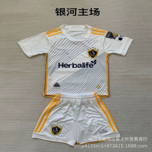 Jersi Los Angeles Galaxy Baru 24/25 No. 9 Ibrahimovic Di Rumah No. 14 Hernandez Sukan Pakaian Bola Sepak football jersey for men soccer shirt