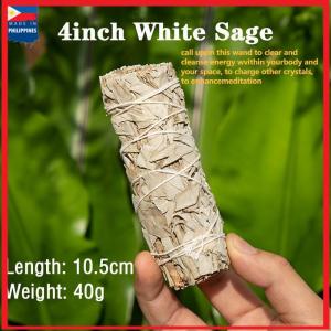 9in/4in White Sage Smudge Stick Sustainably Harvested (Natural Incense Organic Aromatherapy Californian)