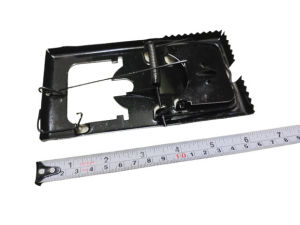 BMS - TERMURAH perangkap tikus / Mouse trap / jebakan tikus besi hitam