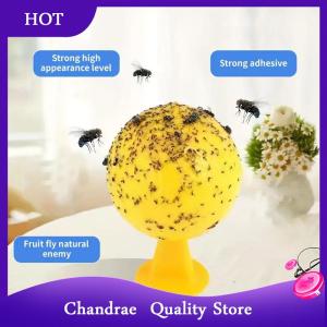 [Chandrae] กับดักแมลงวันเหนียวสำหรับพืชจับแมลงผลไม้นักฆ่าแมลงวันมีประสิทธิภาพสำหรับพืชจับแมลงผลไม้