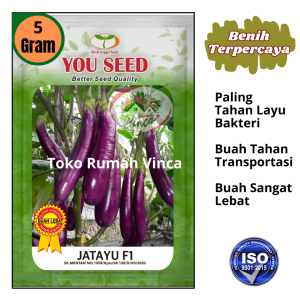 Benih Bibit Terong Ungu Panjang JATAYU F1 5 g Jagonya Tahan Layu dari You Seed