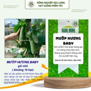 Hạt giống Mướp Hương Baby (10 hạt) cây phát triển mạnh trồng quanh năm dễ chăm sóc