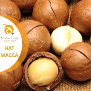 Hạt Macca Rang Tách Vỏ – Béo Bùi Tự Nhiên – Giàu Dinh Dưỡng – Tốt Cho Tim Mạch | Moony Farm