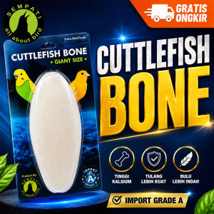 SEMPATI Cuttlefish Bone Tulang Sotong Cangkang Asinan Cumi Super Jumbo Premium Kalsium Iodium Garam Mineral Untuk Burung Kenari Lovebird Parkit Perkutut Paruh Bengkok Dll KORONAMIL1