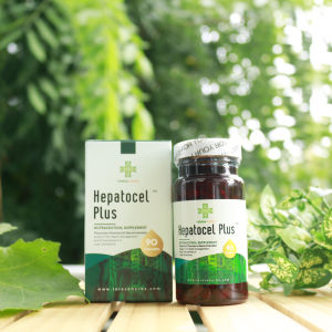 Thực phẩm bảo vệ sức khỏe Tăng cường chức năng gan Hepatocel Plus Teresa Herbs lọ 60 viên