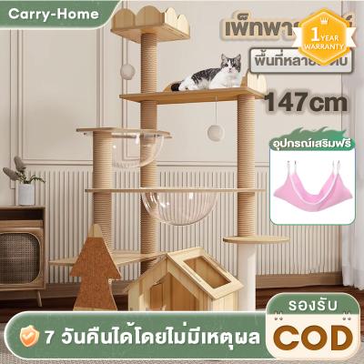 Carry-home คอนโดแมว คอนโดแมวไม้ บ้านแมว เหมาะสำหรับเลี้ยงน้องแมว 4-6ตัว เสาลับเล็บ ขนาดใหญ