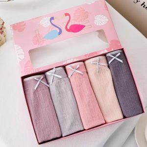 Womens hip lifting underwear 5pcs underwear set with spandex cotton womens underwear Celana Seluar Dalam Wanita  Women Panties Underwear Lunch Box Panties Set Spandex Cotton Ladies Panties Seluar Dalam Wanita
