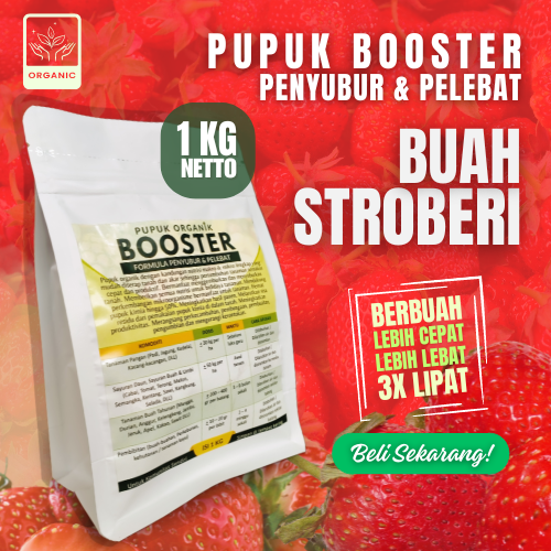 Pupuk Booster Stoberi / Obat Booster Buah Strawberry / Pupuk Booster Strawberry / Pupuk Strawberry