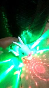 Mainan Anak Hewan Bergerak Elektrik LED Moving Animals Toys Menggunakan Tali