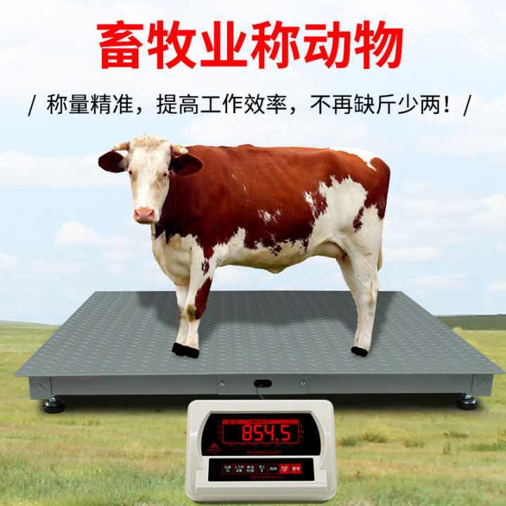 Zhengfengdi scale 13 tons Highprecision platform Small electronic