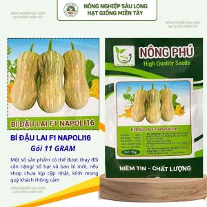 Hạt Giống Bí Đậu F1 NAPOLI 16 Gói 11G – Trái Đẹp Cây Khỏe Sinh Trưởng Tốt