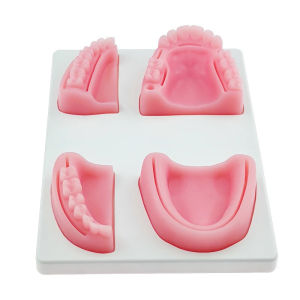 4 pcs/set Dental Oral/Gum suture training module silicone periodontitis suture model