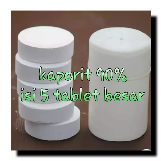 Kaporit Tablet Besar 90% / Chlorine / Klorin / Penjernih Air [1 kg]
