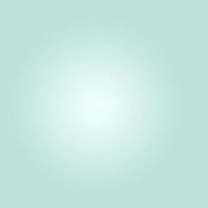 ANSEN Silicone Kitchen Utensils 12 Pcs Set Cooking Utensils Spatula Non-stick Pan Heat Resistant