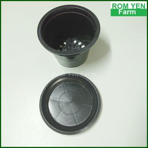 กระถาง 7.5นิ้ว พลาสติกสีดำ กระถาง กระถางต้นไม้ กระถางต้นไม้พลาสติก สำหรับปลูกกล้าผักถุง มีรูแขวนได้