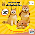 Purlab ชุดแมลงสาบ สำหรับสัตว์เลี้ยง เสื้อหมา เสื้อแมว หมวกหมา หมวกแมว. 