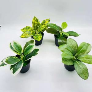 Azgalery PBP56 / Pot Bunga Mini Ornamen Hiasan Dekorasi Rumah Outdoor Indoor Tanaman Hias Artificial Flower Motif Daun Hijau Bahan Plastik Buatan Murah / COD