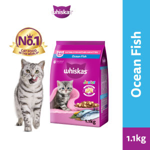 Whiskas Dry Junior Kitten Food - Mackerel / Ocean Fish / Tuna Salmon 1.1kg