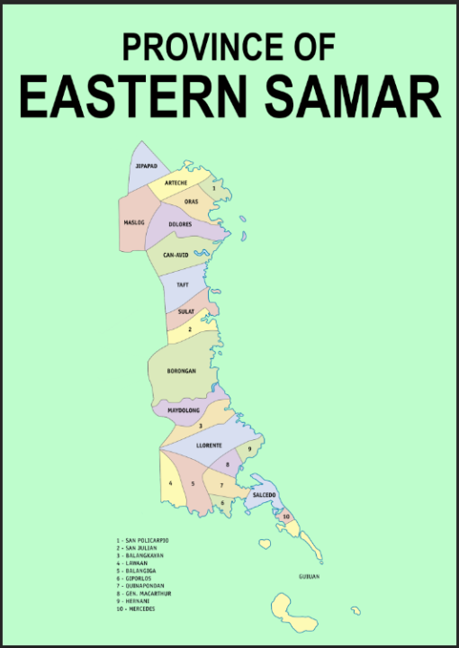 Eastern Samar Province Map Waterproof A4 Laminated Chart | Lazada PH